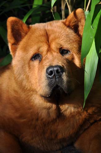 renske renskedsc 0301